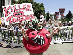 Killer Tomatoes!