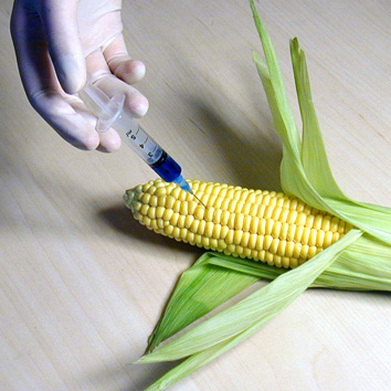 Page of images for Media – Biofortified