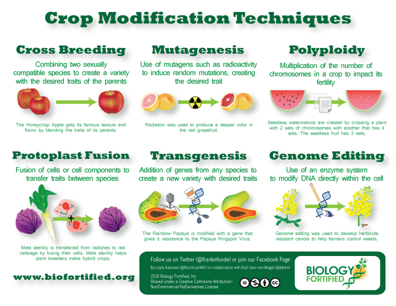 Crop Modification Techniques - Biology Fortified Inc.