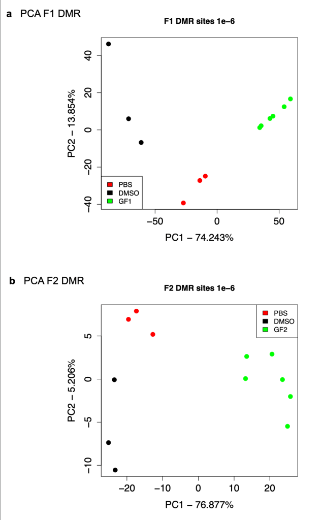 methylation analysis