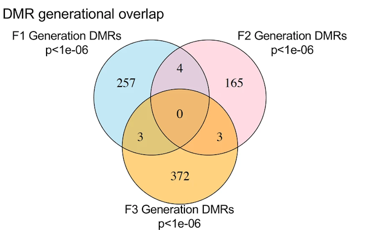 methylation analysis